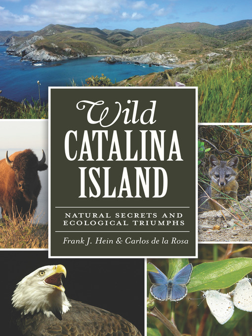 Title details for Wild Catalina Island by Frank J. Hein - Available